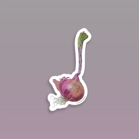 Botanical Sticker - Red Onion